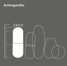 Load image into Gallery viewer, Ashwagandha 500mg as KSM-66® x 90 capsules Wellbeing Hub Shop