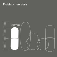 Load image into Gallery viewer, Probiotic 6.  Provides 10 Billion CFU of 6 bacterial strains x 60 capsules Wellbeing Hub Shop