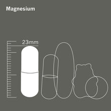 Load image into Gallery viewer, Triple Magnesium blend with B6 - 120 capsules