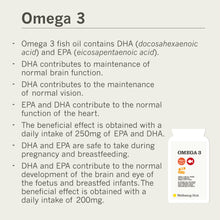 Load image into Gallery viewer, Omega 3 Fish Oil - 90 SOFTGELS
