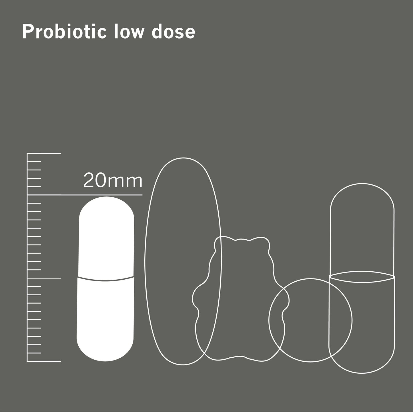 Probiotic 6.  Provides 10 Billion CFU of 6 bacterial strains x 60 capsules Wellbeing Hub Shop