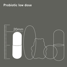 Load image into Gallery viewer, Probiotic 6.  10 Billion CFU, 6 Strains. 60 capsules