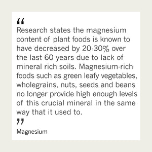 Triple Magnesium blend with B6 x 120 capsules